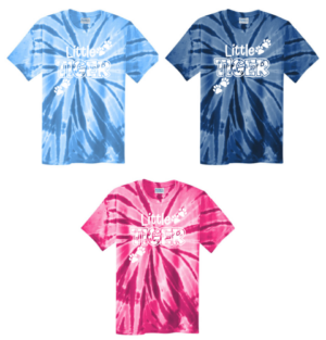 08B.) Wilcox Spiritwear PC147 Colored S/S Tie Dye Tee