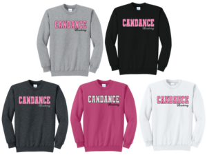 21.) Candance PC78 Embroidered with Glitter Cotton Crewneck