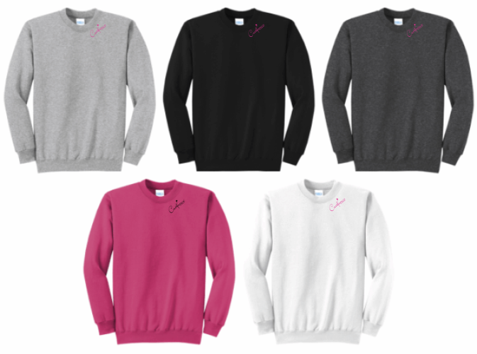 17.) Candance PC78 Embroidered Cotton Crewneck